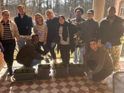 vergissmeinnichtdemenztag